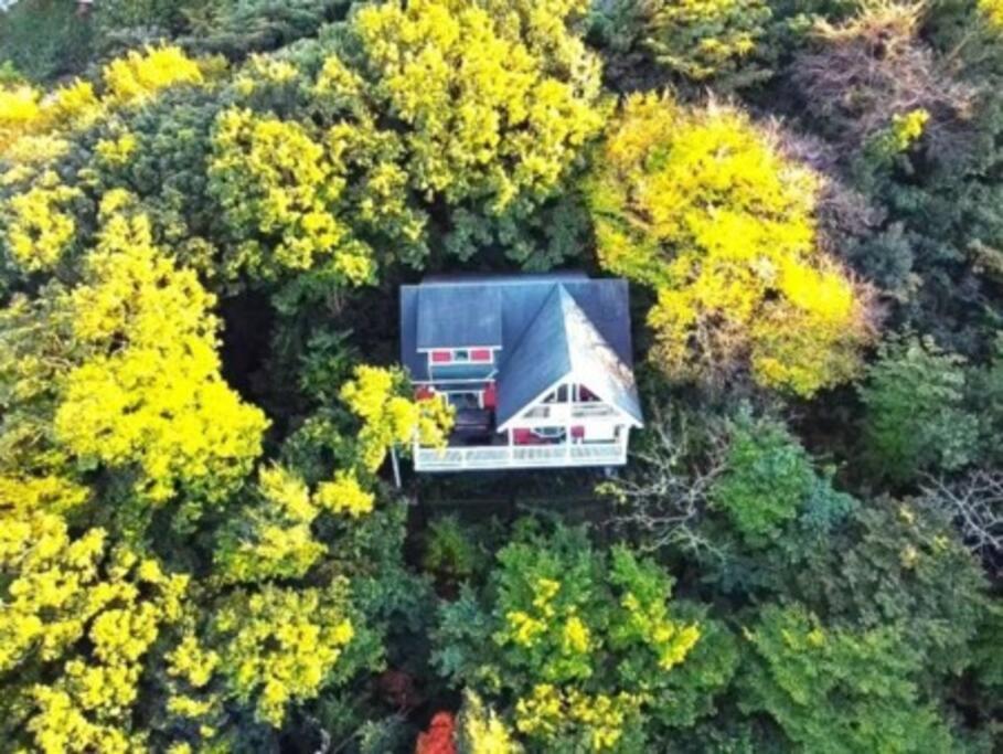 絶景大型ログハウス最大20人ハートウッド熱海邸 Atami  Exteriér fotografie